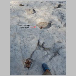 03-DSCN0897 Odd hole maybe removed track.JPG